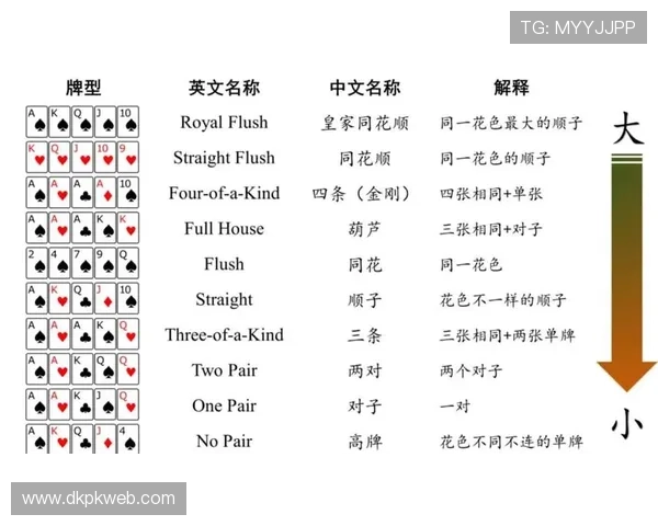 掌握德州扑克全规则，实现从新手到高手的蜕变策略详解